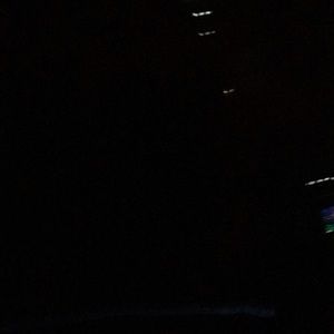 Meet your Posher, Callie